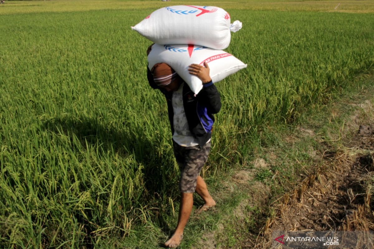 Kelompok lumbung kesulitan mengolah cadangan beras