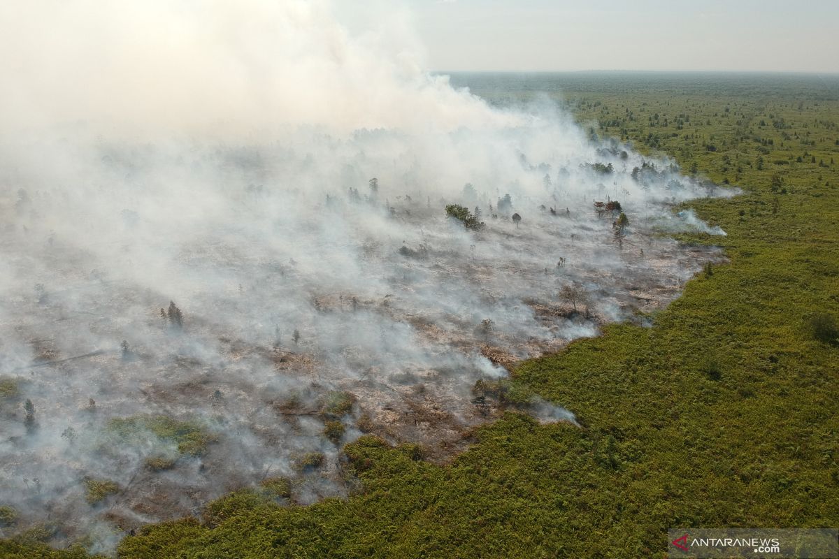 Karhutla di Jambi capai 174 hektare