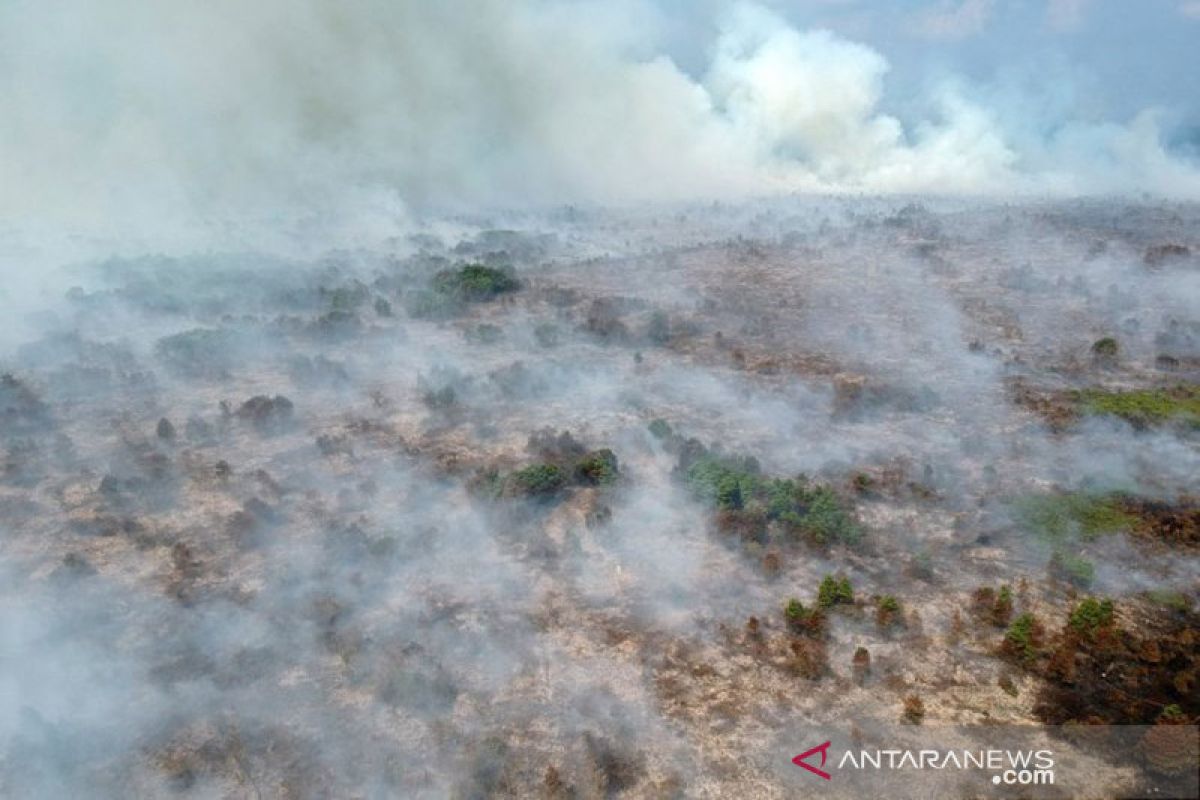 BMKG: 264 titik panas di Sumatera, terbanyak di Riau