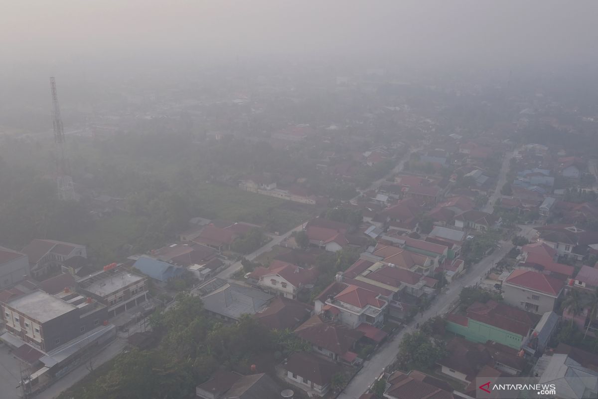 Kepala BNPB optimistis pembakar hutan dan lahan bisa disadarkan