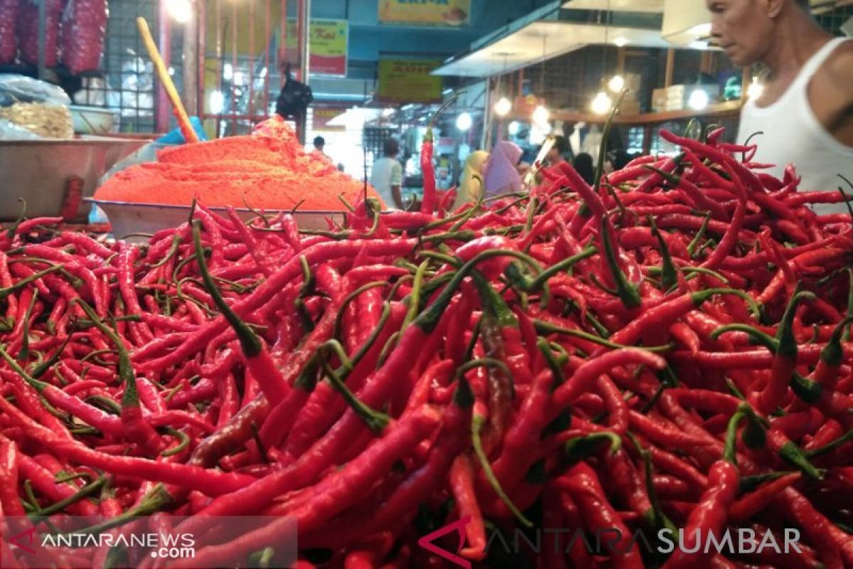 Cabai merah dan daging sate jadi penyumbang inflasi tertinggi di Kota Padang selama Juli