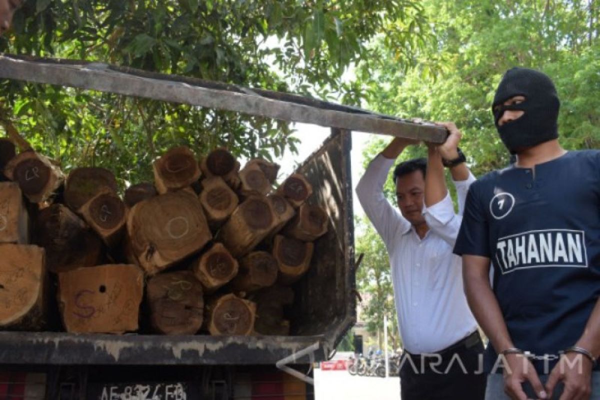 Polres dan KPH Ngawi tangkap pencuri kayu jati