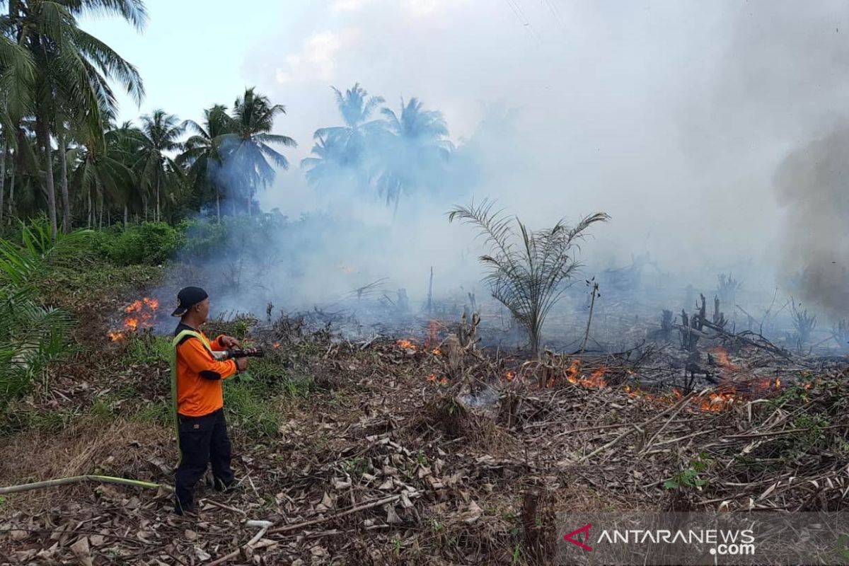 BPBD Kayong Utara sigap atasi kebakaran lahan