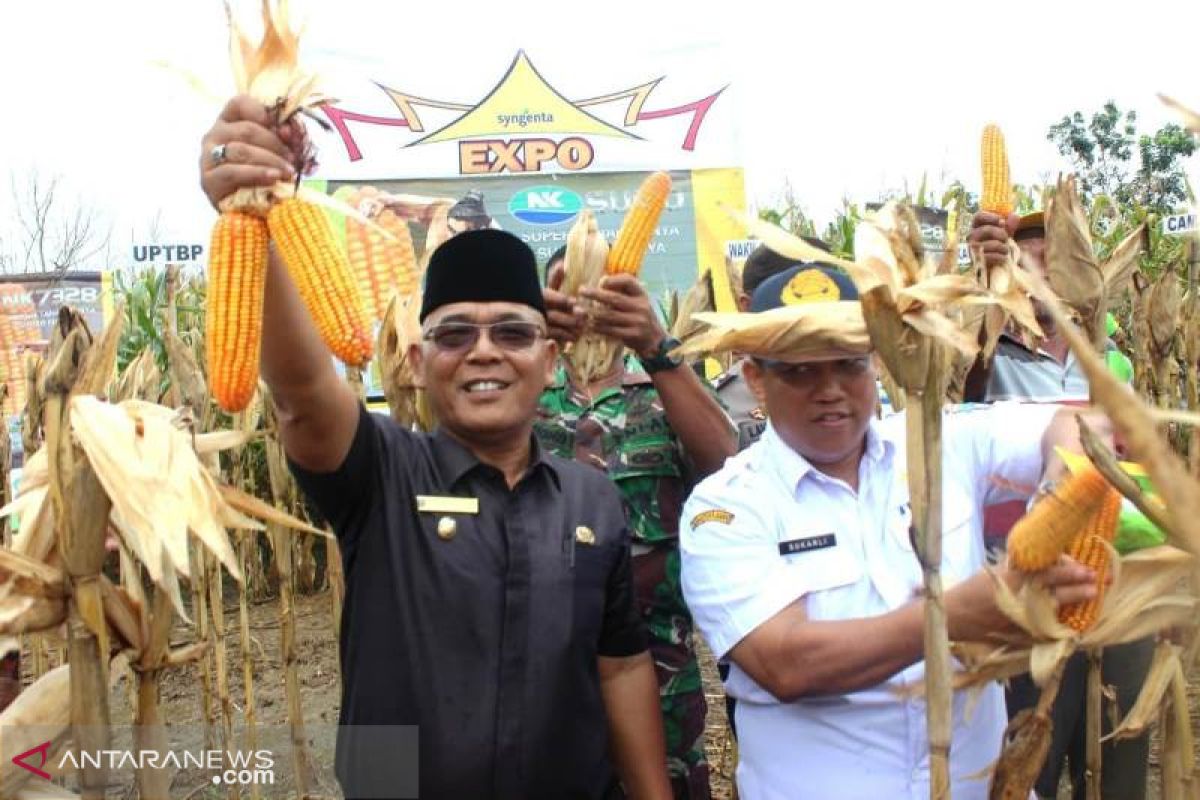 Hadiah di akhir Juli, Pasaman Barat lepas dari status tertinggal