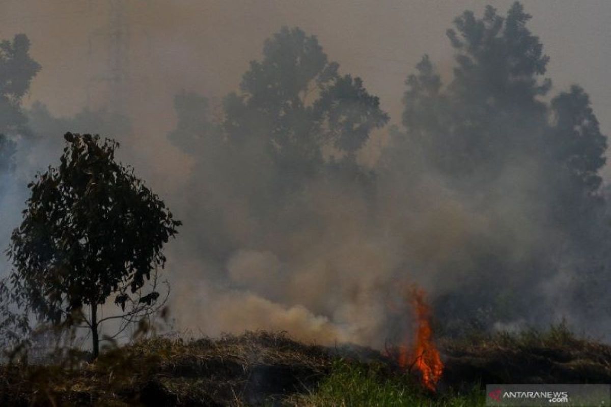 14 titik panas indikasi kebakaran hutan-lahan terdeteksi di Riau