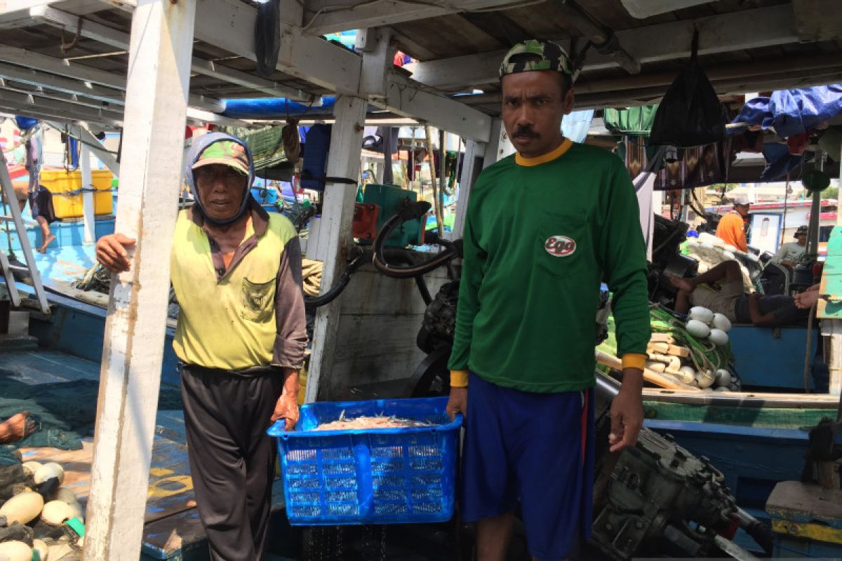 Nelayan sebut tumpahan minyak tak pengaruhi ikan di Kepulauan Seribu