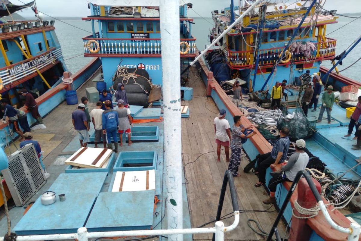 West Nusa Tenggara opens three clusters for fishing