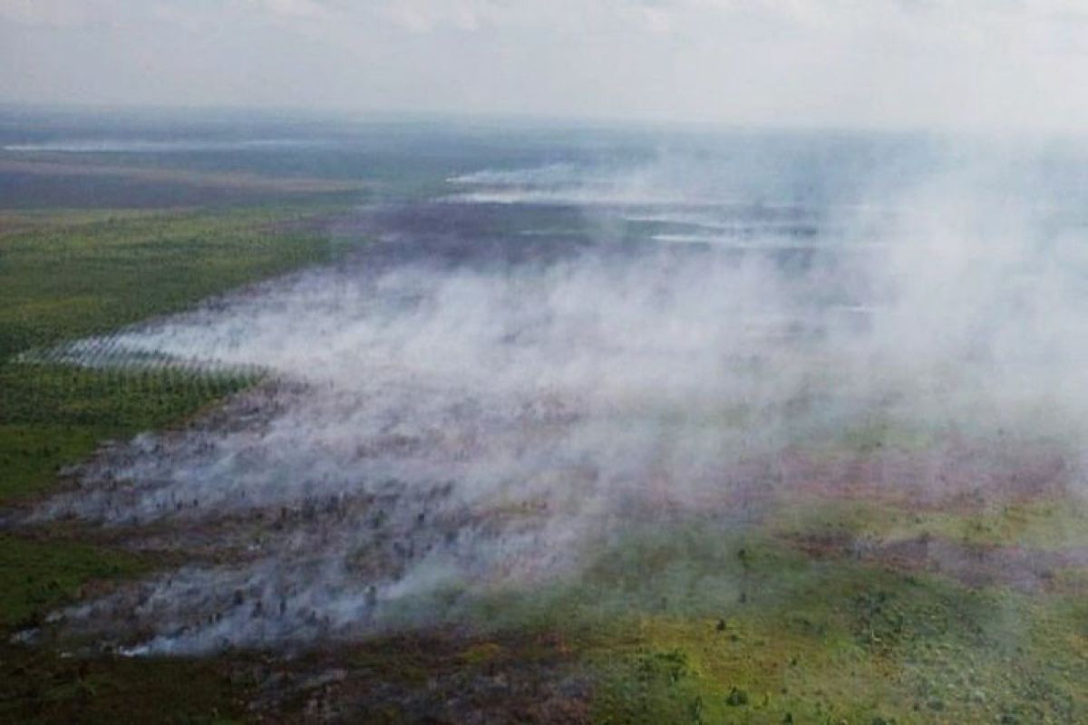 Kebakaran lahan di Kotawaringin Timur meluas ke perkebunan sawit