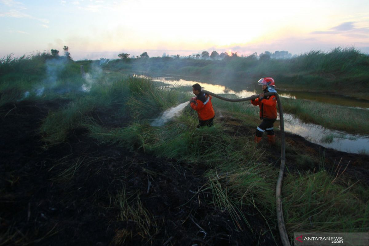 Izin pakai kawasan hutan di Kalsel mencapai 56.243 hektare