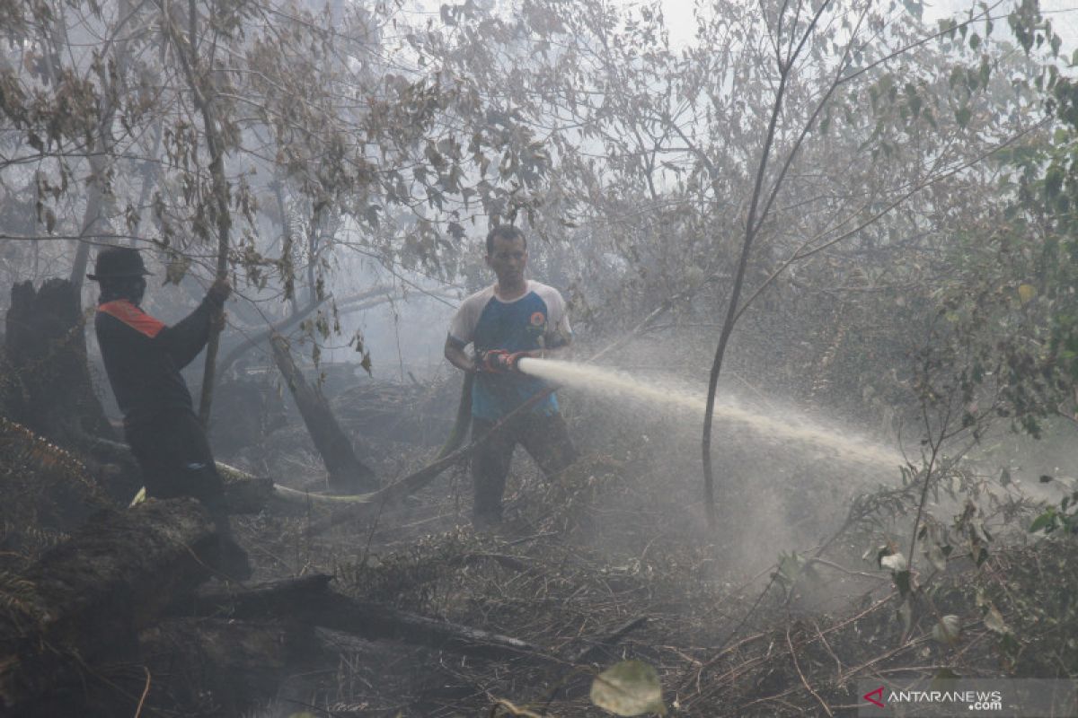 Satellites detect 138 hotspots of forest fires in Riau