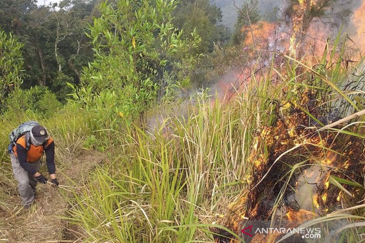BPBD: Tujuh titik bara api di Gunung Arjuno belum padam