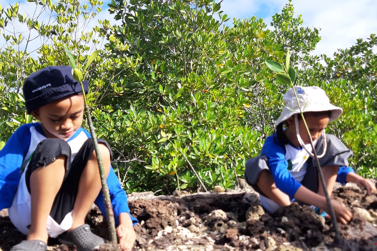 Japesda inisiasi penanaman mangrove di Torosiaje-Pohuwato