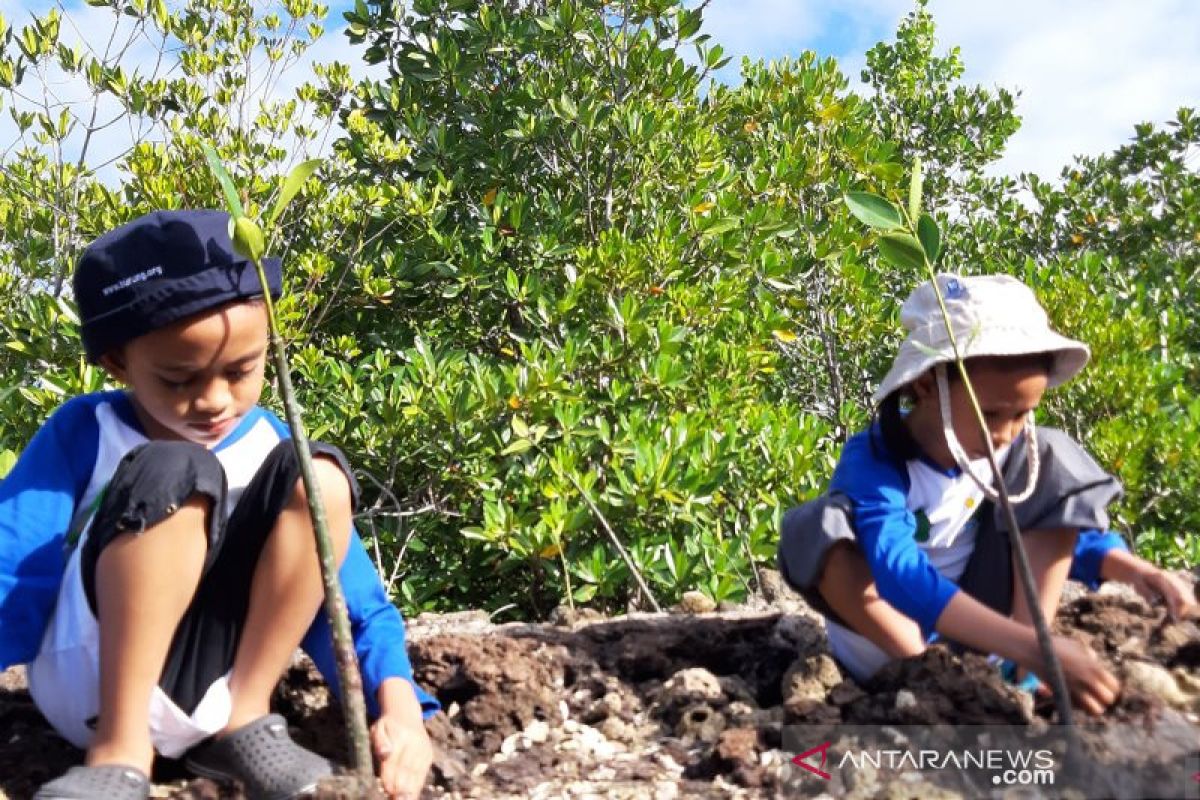 Japesda inisiasi penanaman mangrove di Torosiaje