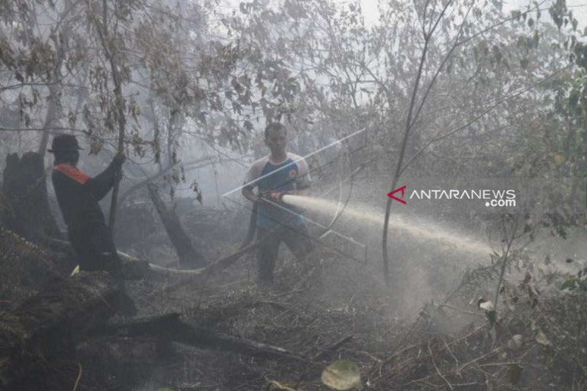 Kebakaran lahan di Aceh Barat  meluas capai 33 hektare