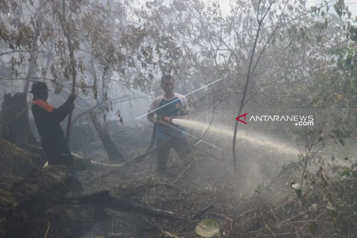 Sebanyak 49 lahan terbakar sejak Jumat