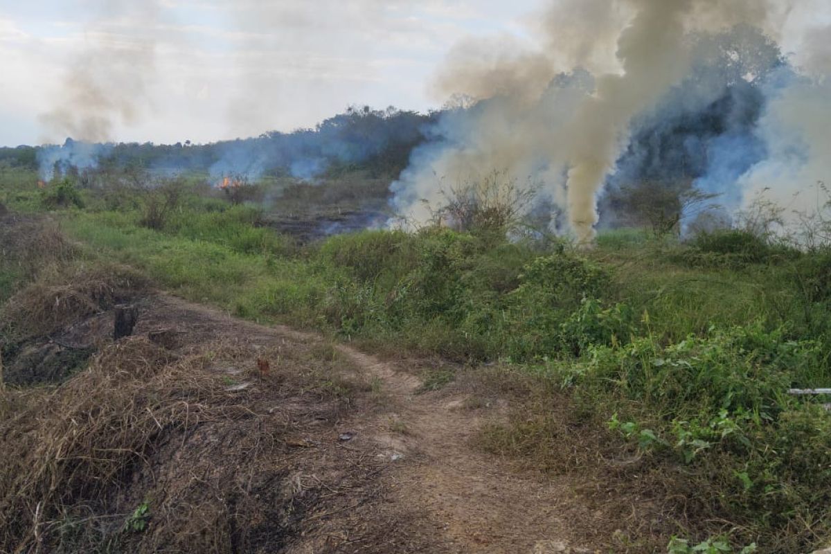 Two hotspots in Tabalong monitored by satellite