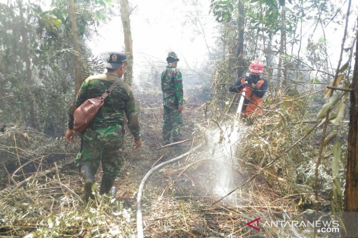200 prajurit TNI berjibaku padamkan Karhutla di Pelalawan