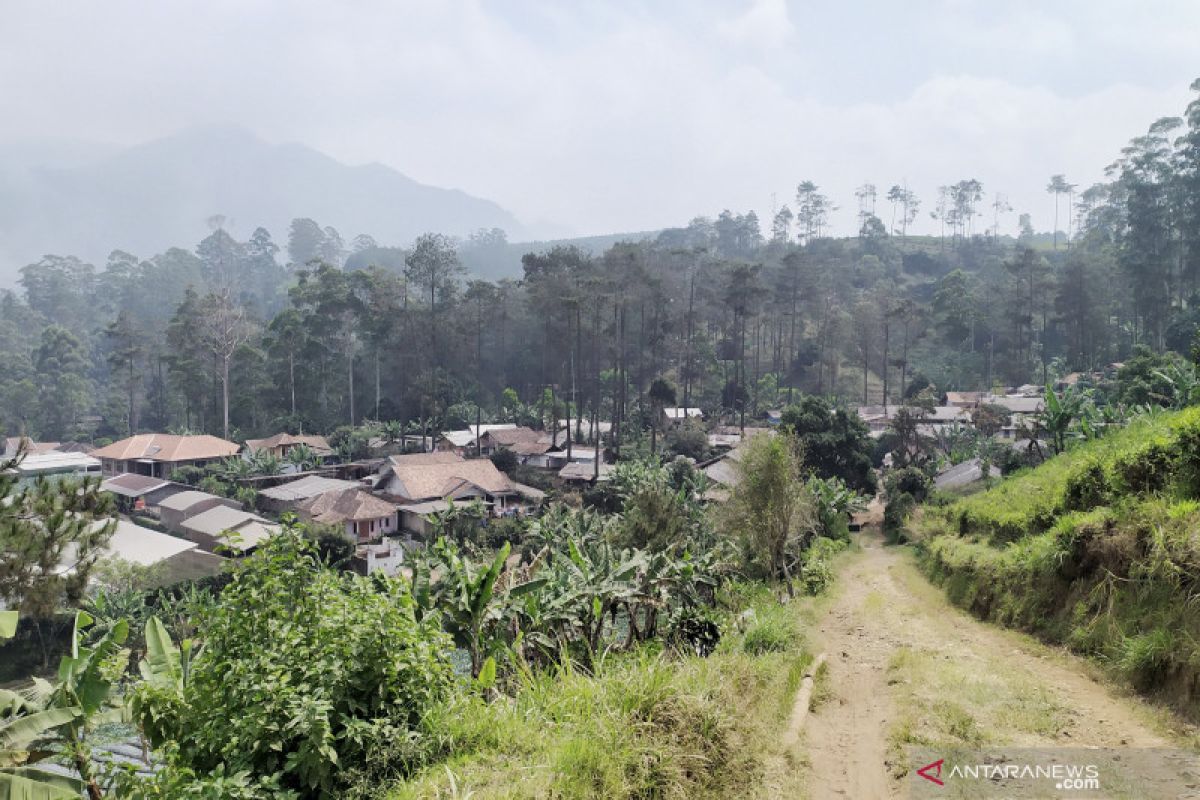 Bau belerang tercium warga Sukawana pasca-erupsi Tangkuban Parahu