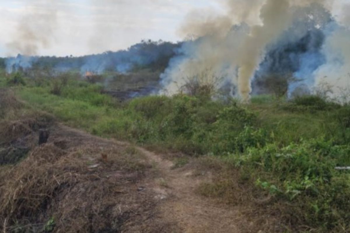 Dua titik kebakaran hutan di Tabalong terpantau satelit