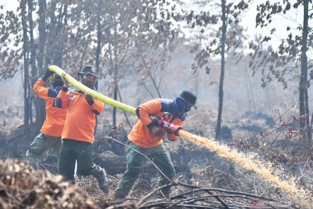 Pelaku pembakaran hutan di Belitung Timur terancam penjara