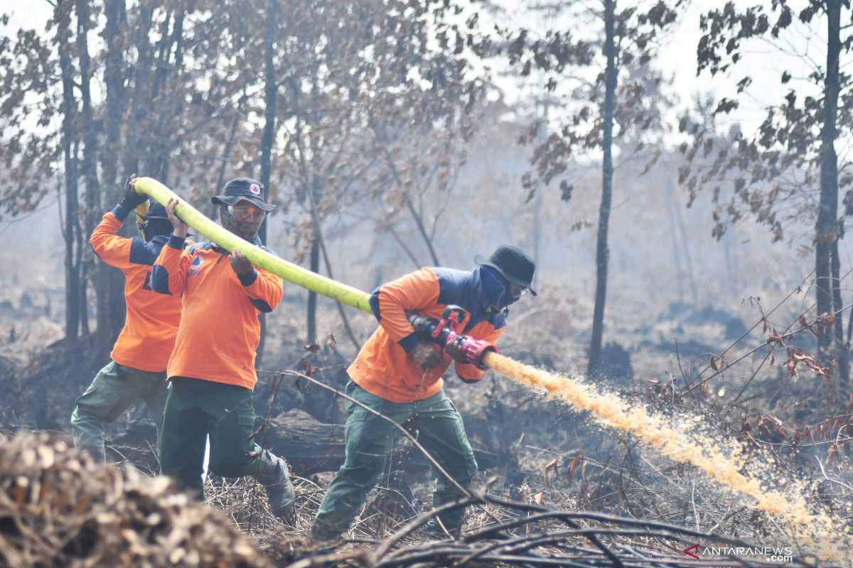 Satgas Karhutla Jambi :  lahan terbakar di Jambi capai 248 hektare