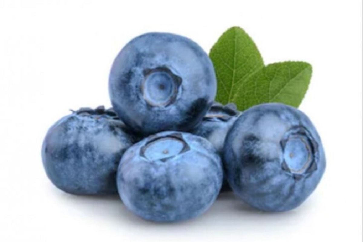 Konsumsi buah blueberry agar awet muda