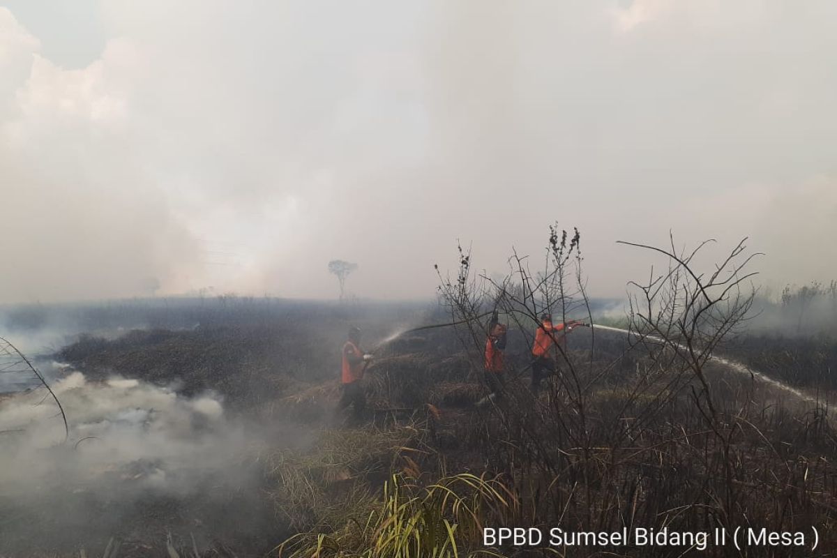 Jalan lintas timur Ogan Ilir tertutup asap  akibat kebakaran lahan