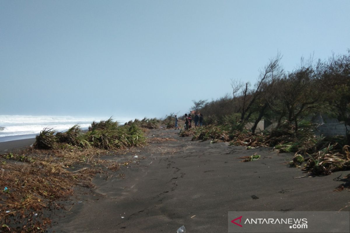 BPBD Bantul: abrasi pantai selatan cukup tinggi