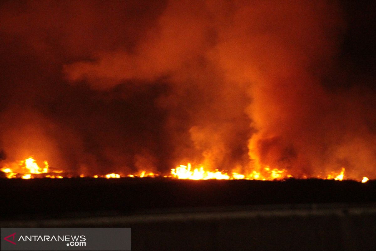 Kebakaran lahan meluas, petugas tol Palindra berjaga hingga malam