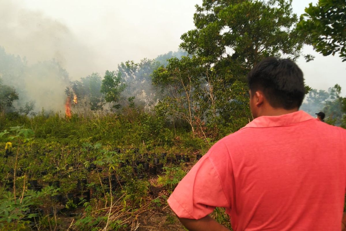 Warga Purnama padamkan kebakaran lahan dengan alat seadanya