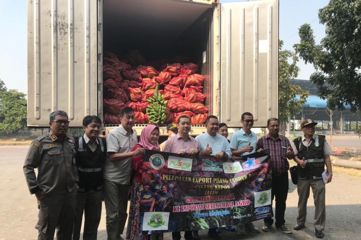 Sebanyak 40 ton pisang diekspor dari Puspa Agro ke Malaysia