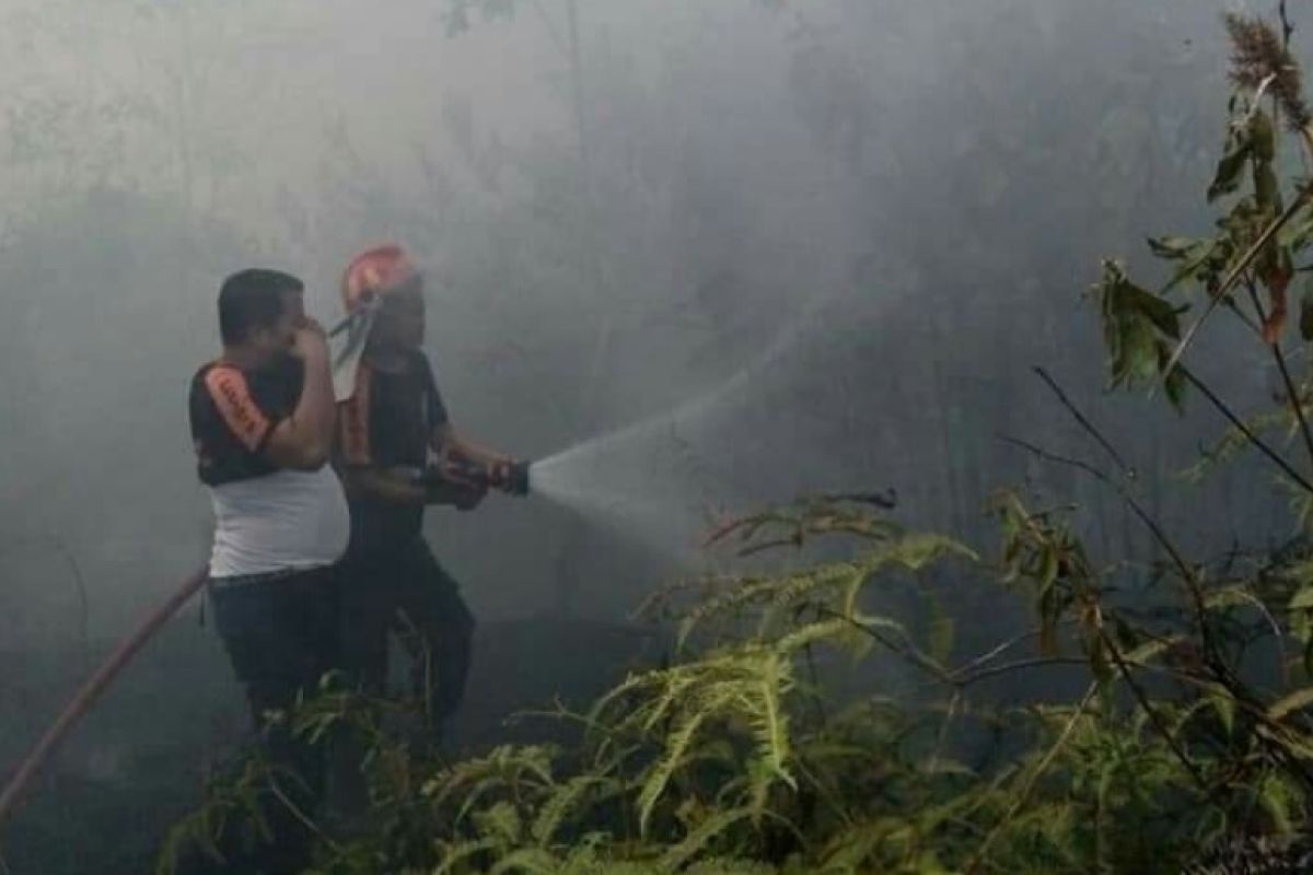 Kebun karet dekat permukiman warga di Solok Selatan terbakar