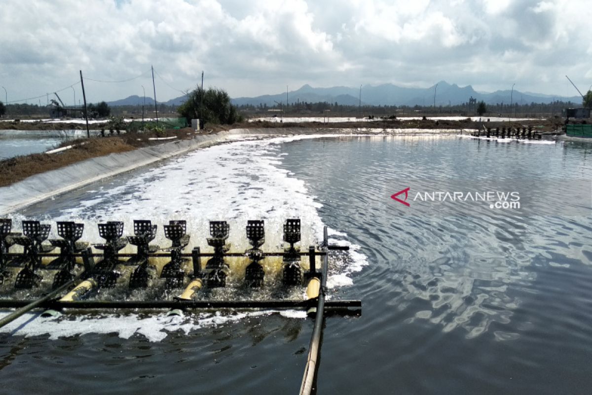 Pemkab Kulon Progo tidak memberi bantuan petambak di luar peruntukan