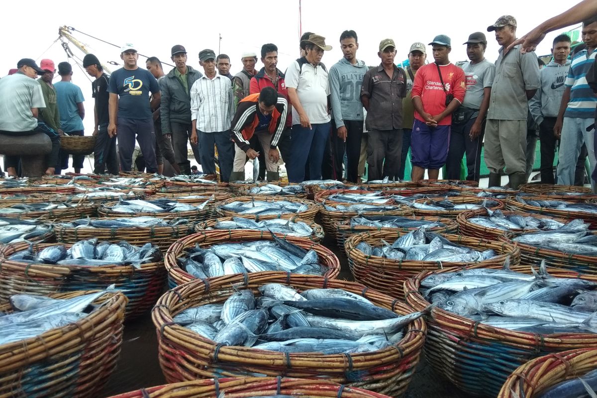 Menanti hadirnya industri perikanan di ujung  negeri