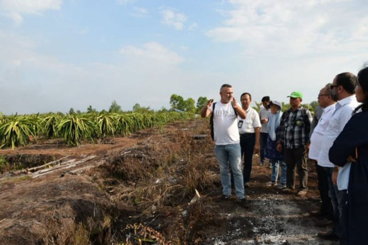 UAE intends to invest in Central Kalimantan's food crops