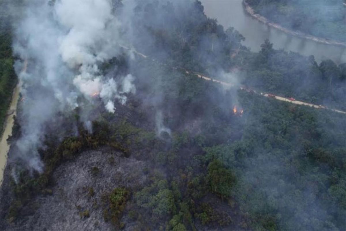 KLHK tindak tegas pelaku karhutla