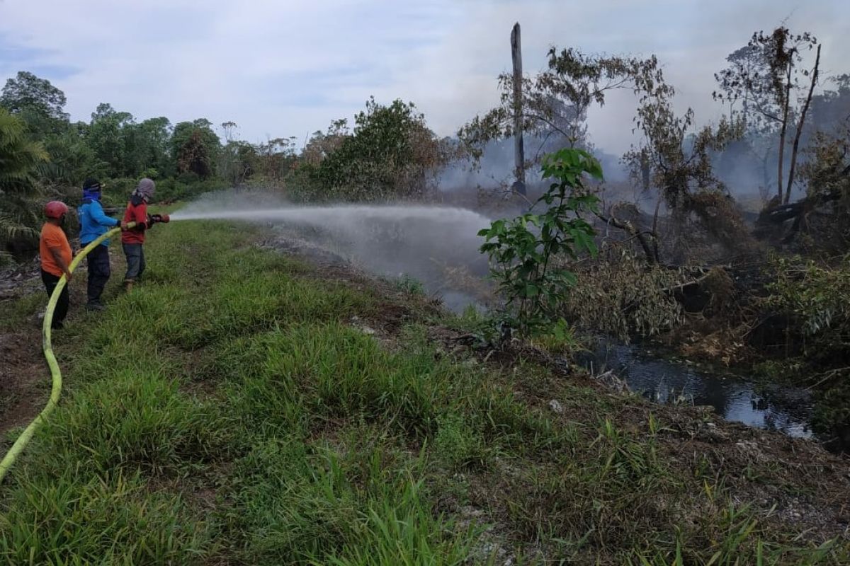 BMKG temukan 12 titik panas di wilayah  Aceh