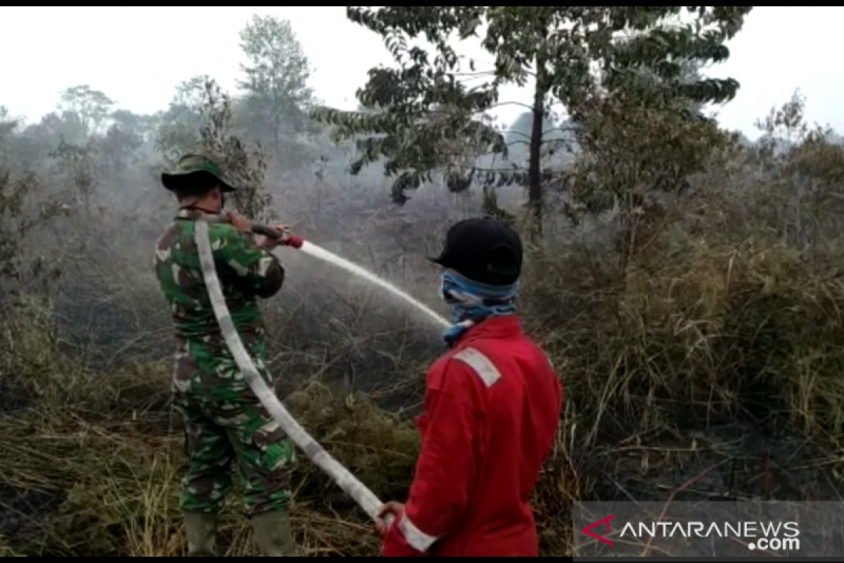 (VIDEO) - 20 hektare lahan sekitar konsesi perusahaan terbakar