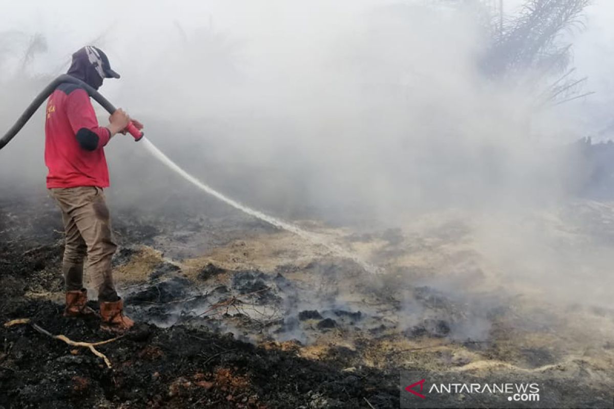 Lahan gambut di sekitar area sumur minyak di Siak terbakar