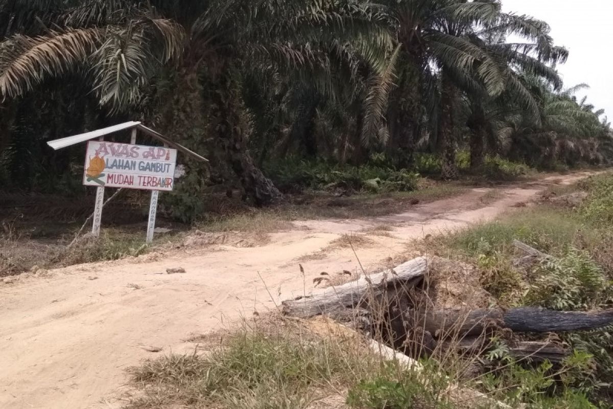 Karyawan kebun sawit Muarojambi  siaga 24 jam ronda karhutla