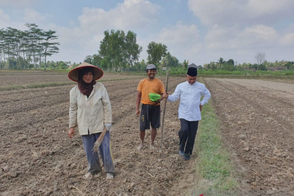 Bupati OKU Timur ajak  masyarakat tanam palawija