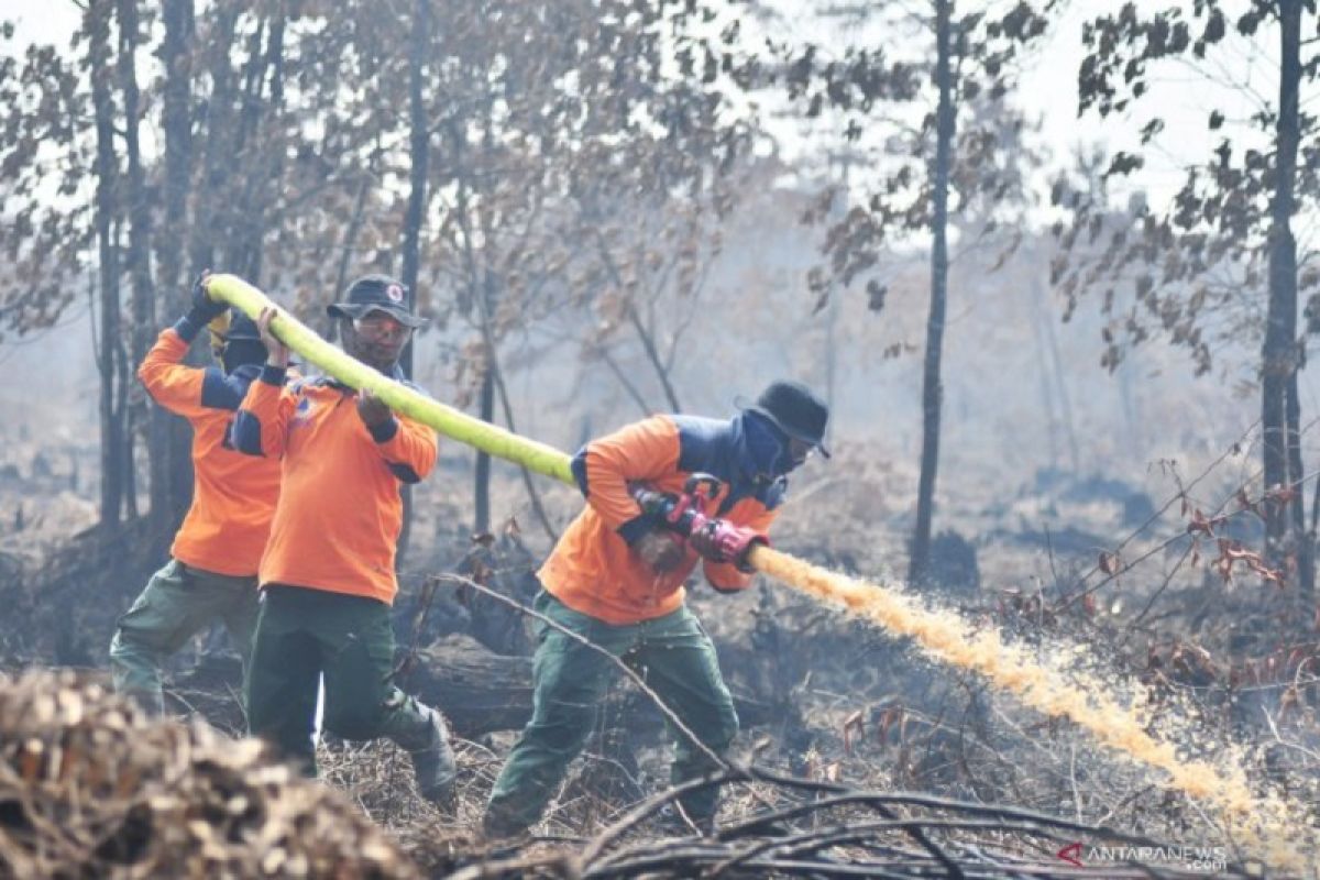 Dansatgas Karhutla: luas lahan terbakar di Jambi capai 248 hektare