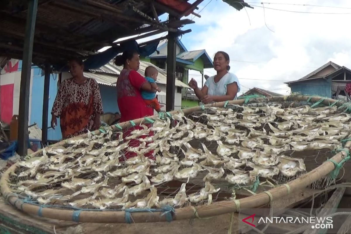 Ikan kering bulu ayam jadi oleh-oleh khas Desa Rampa