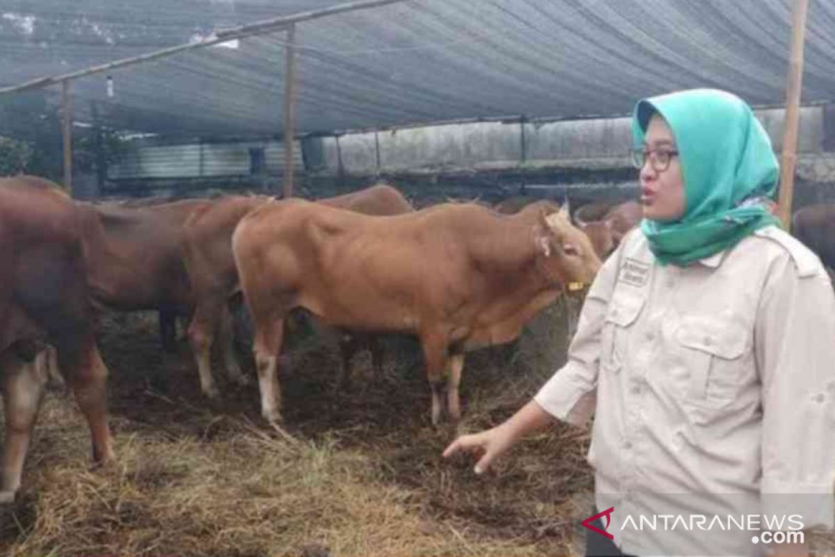 Tren kurban warga Bekasi diproyeksikan meningkat