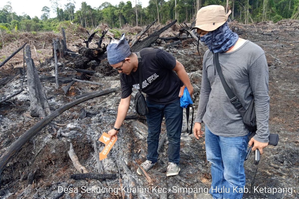 1 Kades diperiksa terkait pembakaran lahan di Ketapang