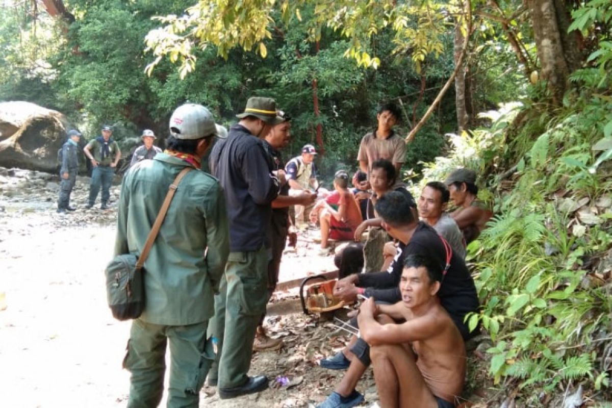 KLHK tangkap 17 pembalak liar di hutan lindung Gunung Bentarang
