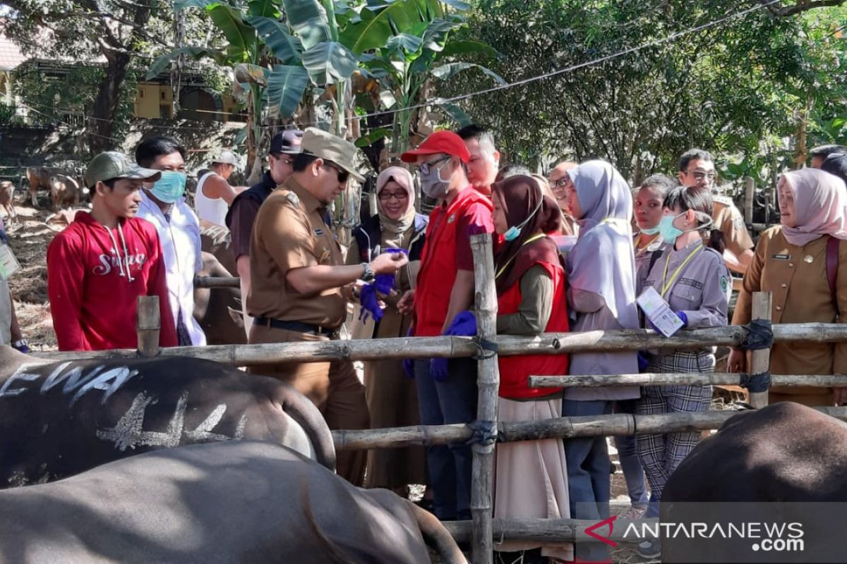 DP2 Makassar kerahkan 166 tenaga kesehatan periksa hewan qurban