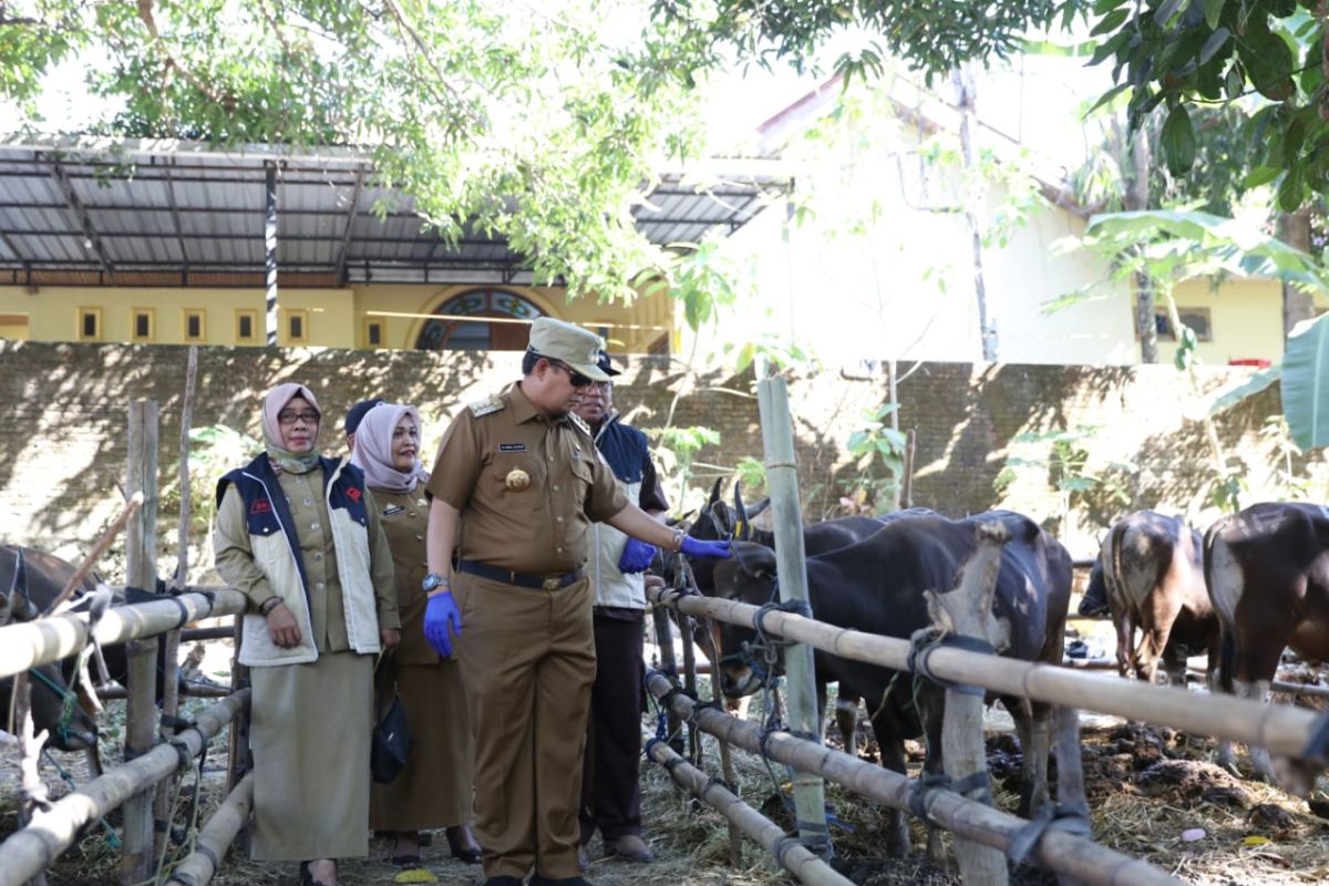 Pj Wali Kota Makassar tinjau pemeriksaan hewan kurban