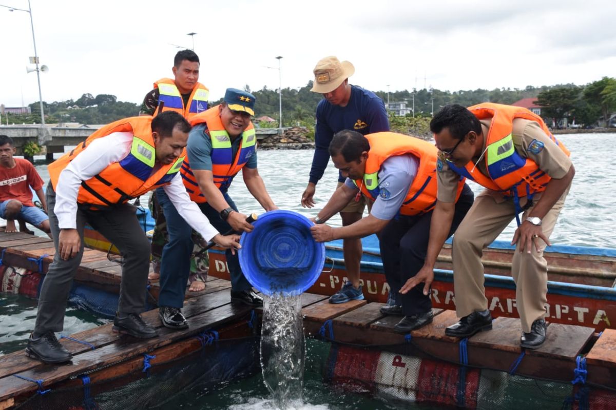 Koarmada III TNI AL bantu benih ikan untuk nelayan