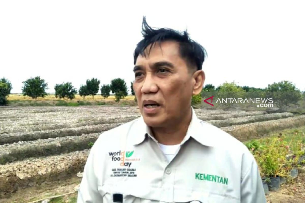 Kementan dukung pengembangan Prukades KPB Batu Betumpang